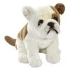 Anima PELUCHE BULLDOG FRANCAIS ASSIS - 30 CM -Réduits Jouets Magasin 0557eeecb3c60fb5633080b216875eae59dd4ca3 08025677