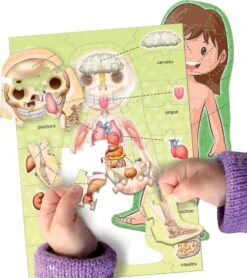 LE CORPS HUMAIN -Réduits Jouets Magasin 05fa5db02a8e91780405ea743f00581c162de642 41010179 04