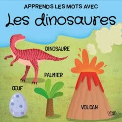 Q-BOX. LES DINOSAURES -Réduits Jouets Magasin 26550e56dd2751031fa159ac80ae1e085e6a8fbb 41031371 03