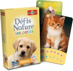 DEFIS NATURE DES PETITS - LA MAISON