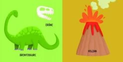 Q-BOX. LES DINOSAURES -Réduits Jouets Magasin 9b332403835c147c826e3cadd33488000a645cb7 41031371 05