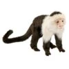 Anima PELUCHE SINGE CAPUCIN - 20 CM -Réduits Jouets Magasin b5d4f05a7a073e9e5bd8088e8d8f79bedef2b25b 08025982