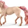 Schleich FIGURINE LICORNE BIJOU, JUMENT -Réduits Jouets Magasin b9a85452bfb4cd385527d3e1b5c7a42813727e6c 41005164