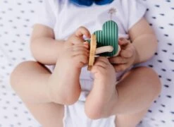 PAUL - LE HOCHET -Réduits Jouets Magasin f0d6dcd0c5e0ff2a2d471c5892e6b864b8394678 41067034 05